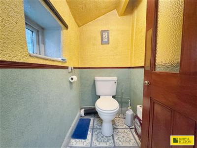 Picture 20